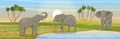 Family of African elephants at the watering hole. Grass, a small lake, the Doum palm on the horizon. Realistic vector landscape. N Royalty Free Stock Photo